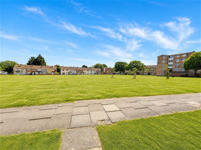 Picture 20